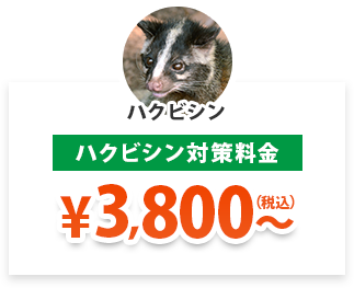 ハクビシン対策料金