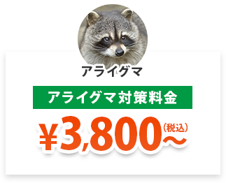 アライグマ対策料金