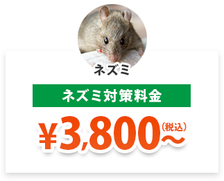 ネズミ対策料金