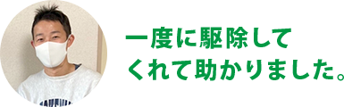 一度に駆除してくれて助かりました。