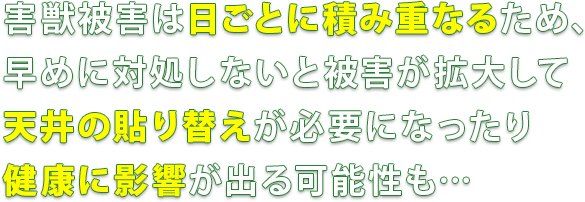 害獣被害は日ごとに積み重なるため、早めに対処しないと被害が拡大して天井の貼り替えが必要になったり健康に影響が出る可能性も・・・